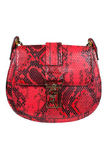 Bandolera Snake