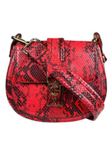 Bandolera Snake
