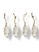 Set 22 Hojas Colgantes Botánico