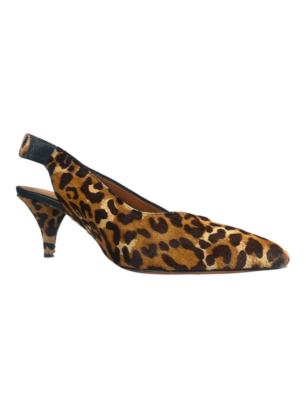 Taco Animal Print