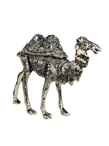 Cebra Y Camello