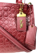 Cartera Rogue