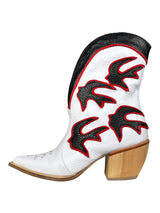 Botas Cowboy
