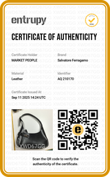 Cartera  AQ 21 0170