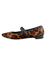 Ballerinas Animal Print