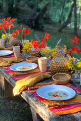 Set 4 Paneras
