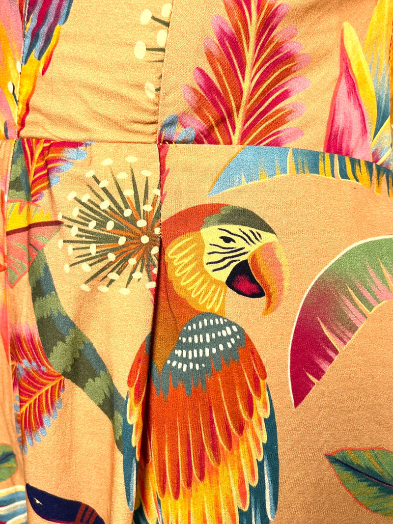 Enterito Guacamaya