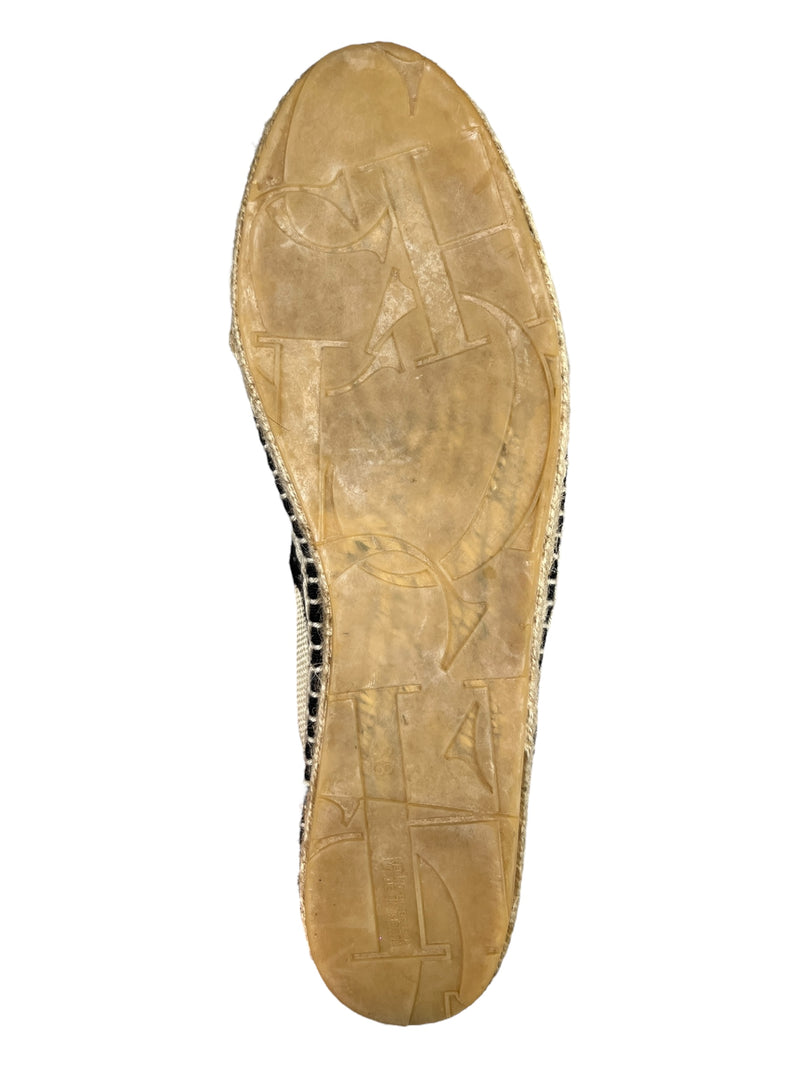 Alpargatas Brillos