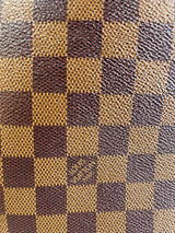 Cartera Ipanema