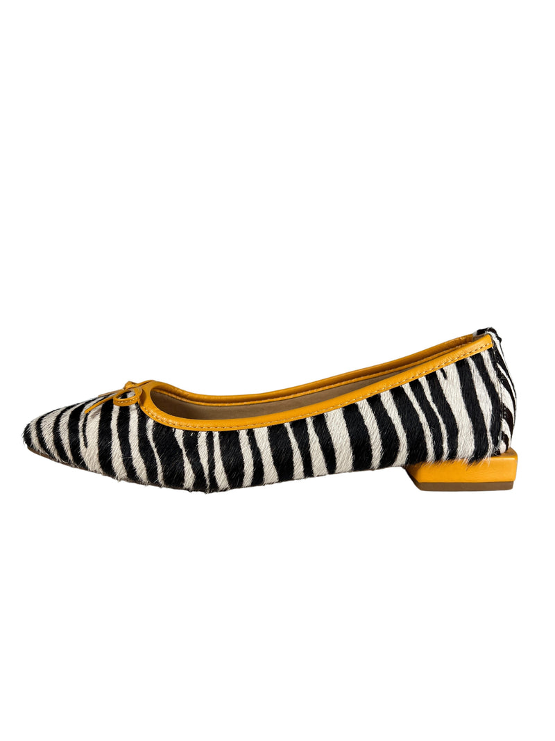 Bailarina Zebra