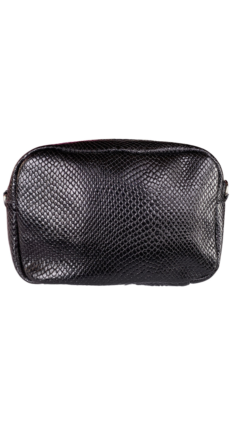 Bandolera Snake