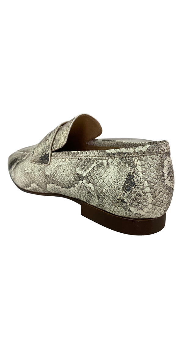 Zapato Reptil