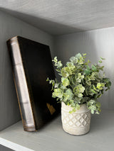 Libro Caja