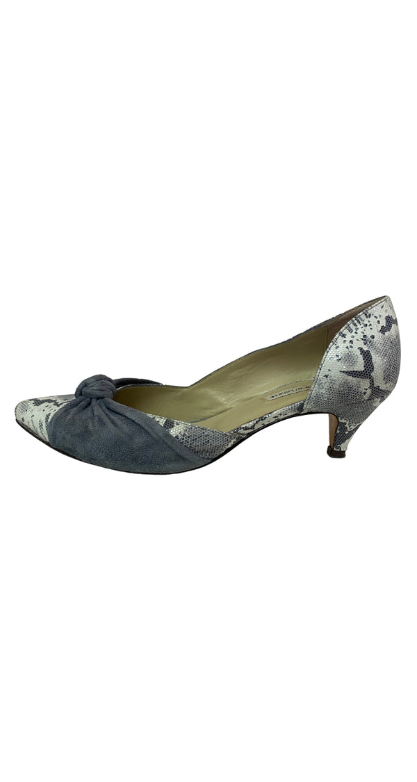 Zapatos de Salón