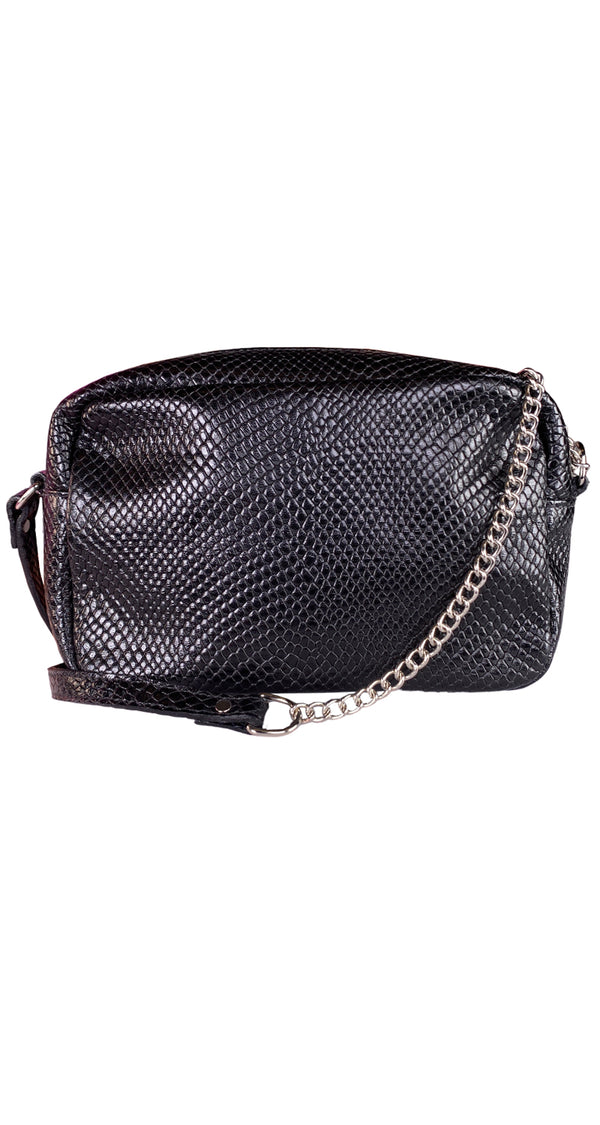 Bandolera Snake