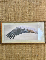 Cuadro Ala Pluma