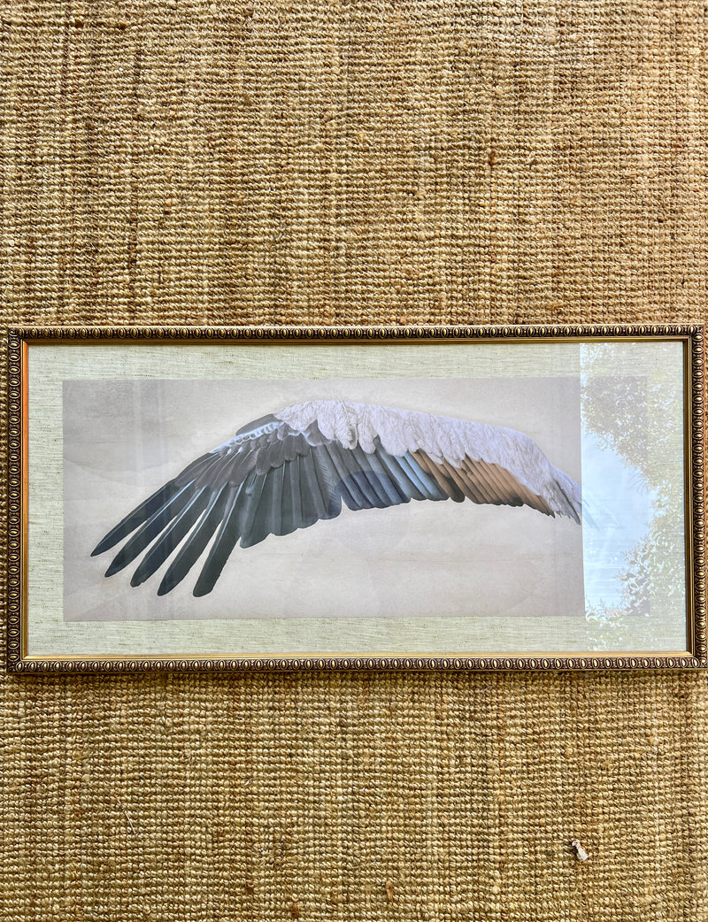 Cuadro Ala Pluma