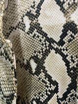 Blazer Snake
