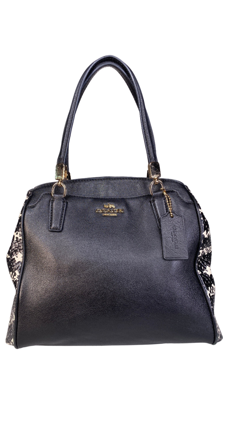 Cartera Snake