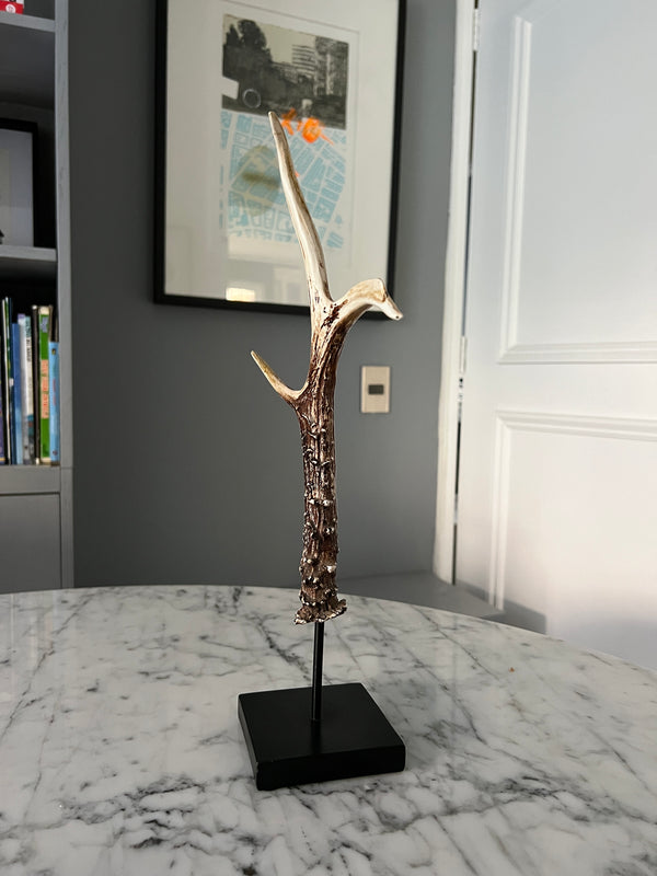 Cuerno Decorativo