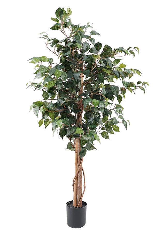 Planta Artificial Ficus