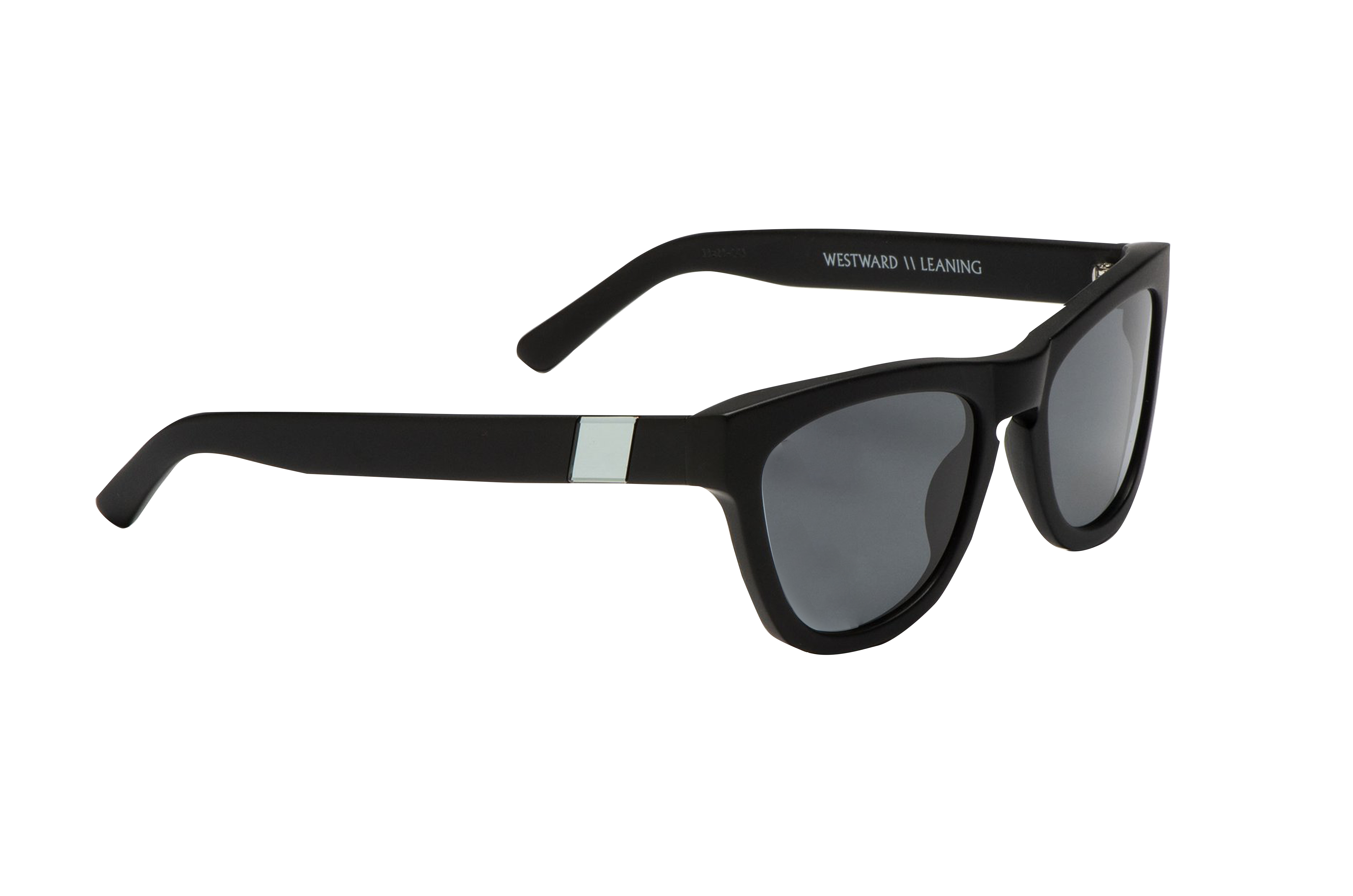 Anteojos Wayfarer Negro brillante / Lente negro / Logo gris