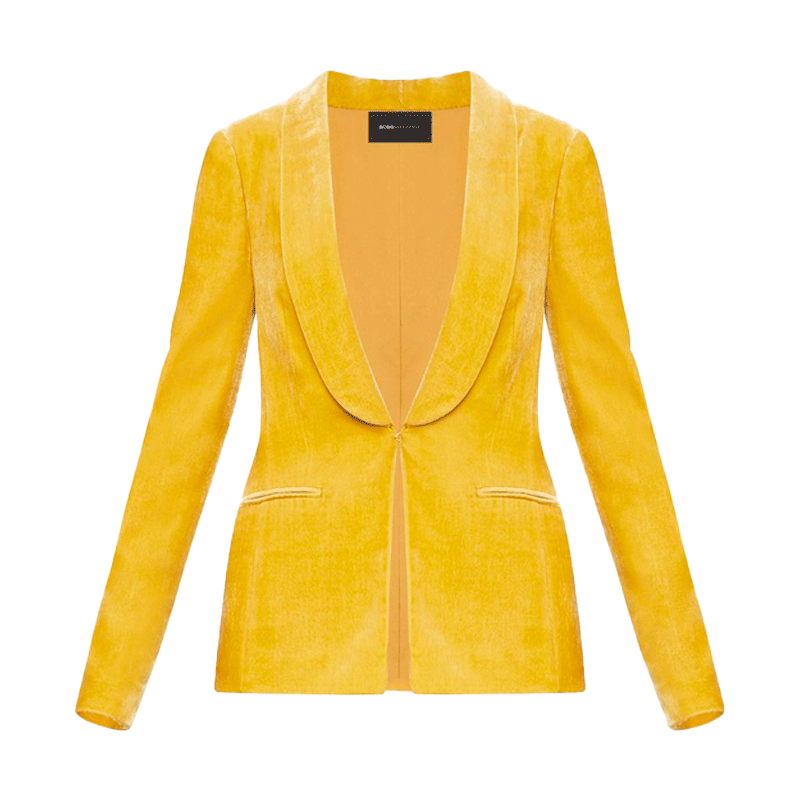 Blazer Velvet Phoenix