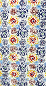 Camisa Multicolor