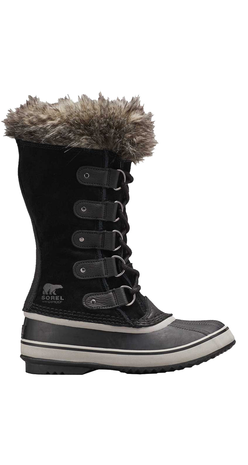 Joan Of Artic