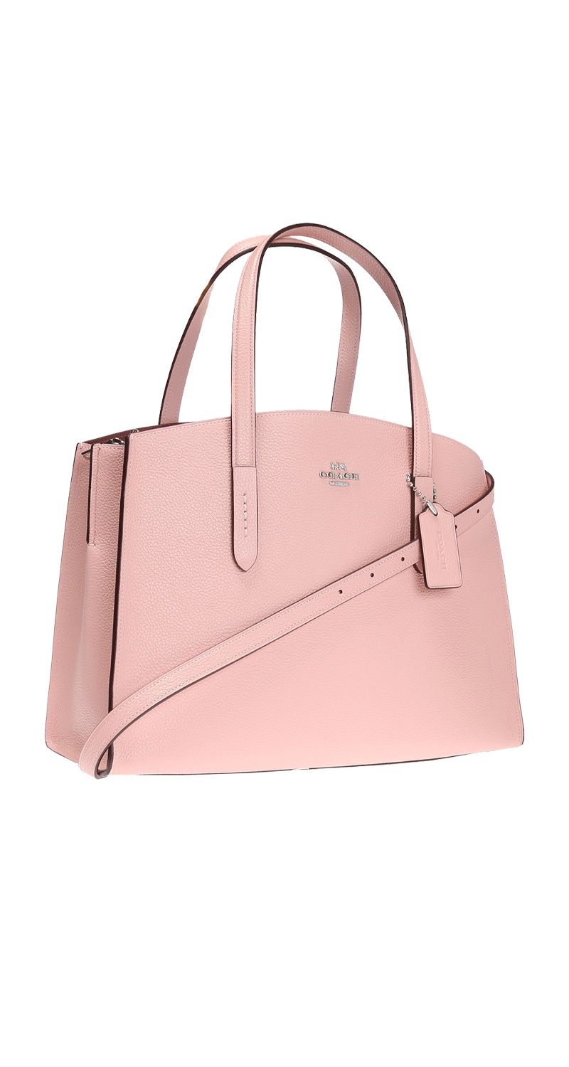 Charlie Carryall Bag