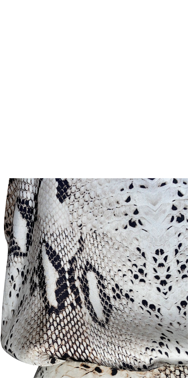 Enterito Reptil (5198896038023)