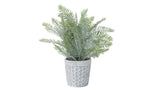 Lavanda Macetero