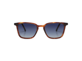 Anteojos Silver Ethan Bourbon