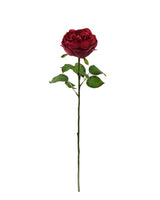 Rosa Roja