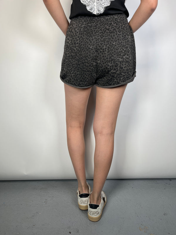 Shorts Leopard