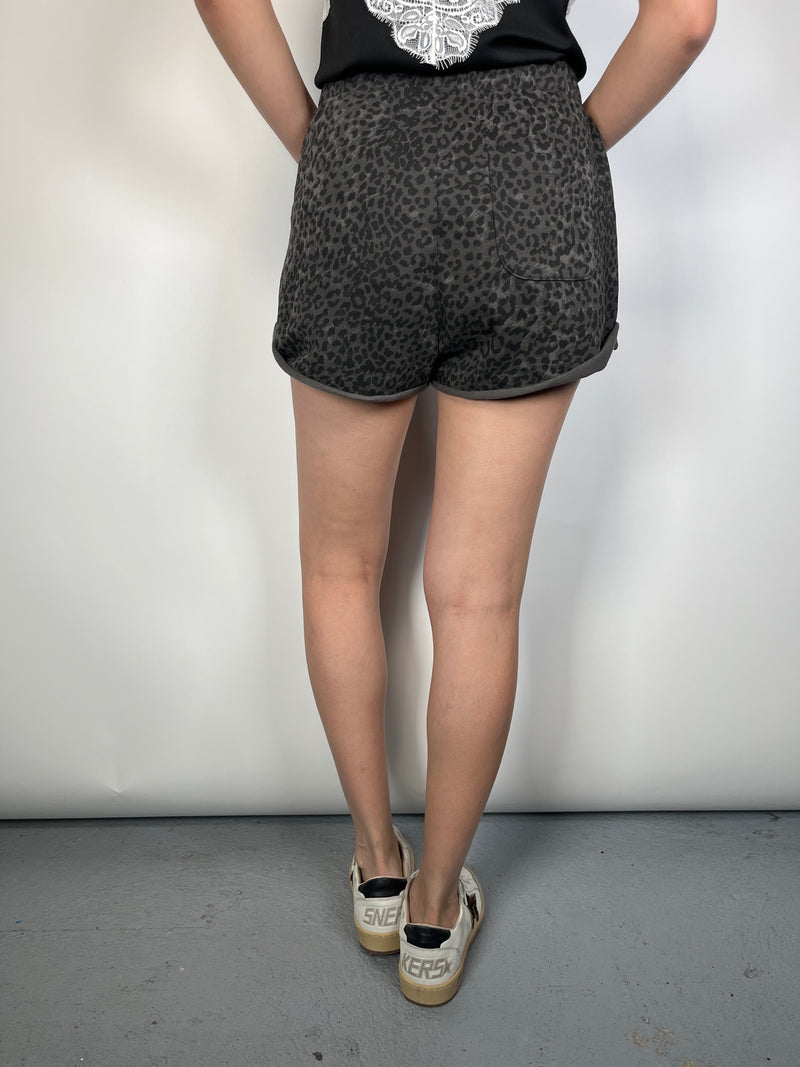 Shorts Leopard
