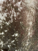 Pantalón Velvet Verde