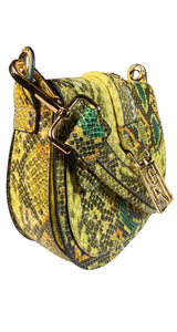 Bandolera Snake