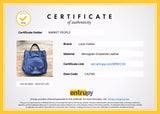 Cartera Metis Hobo